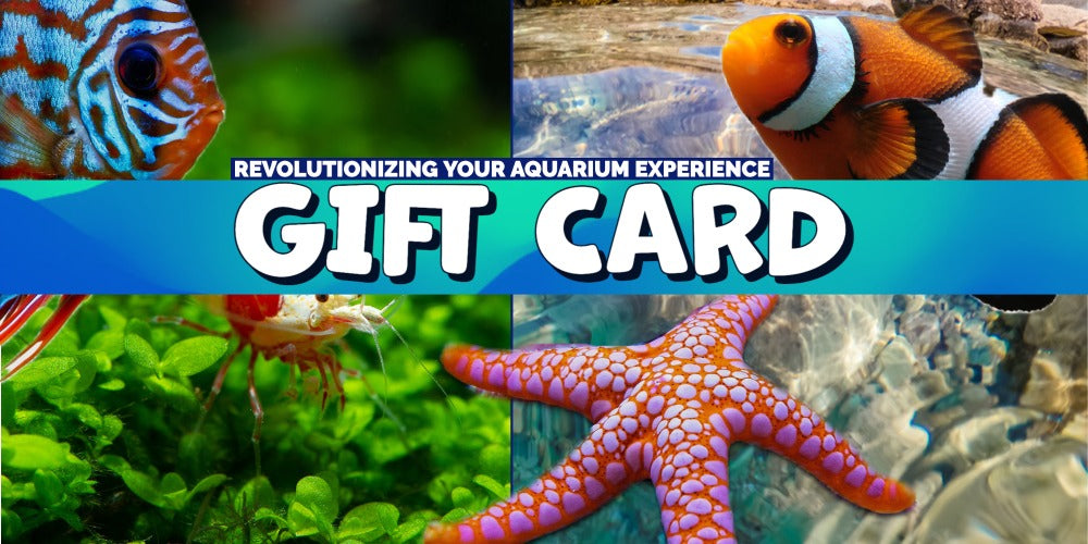 Gift Cards Online