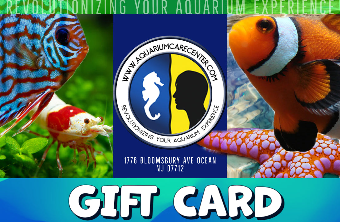 Gift Card – Kona Reef Az