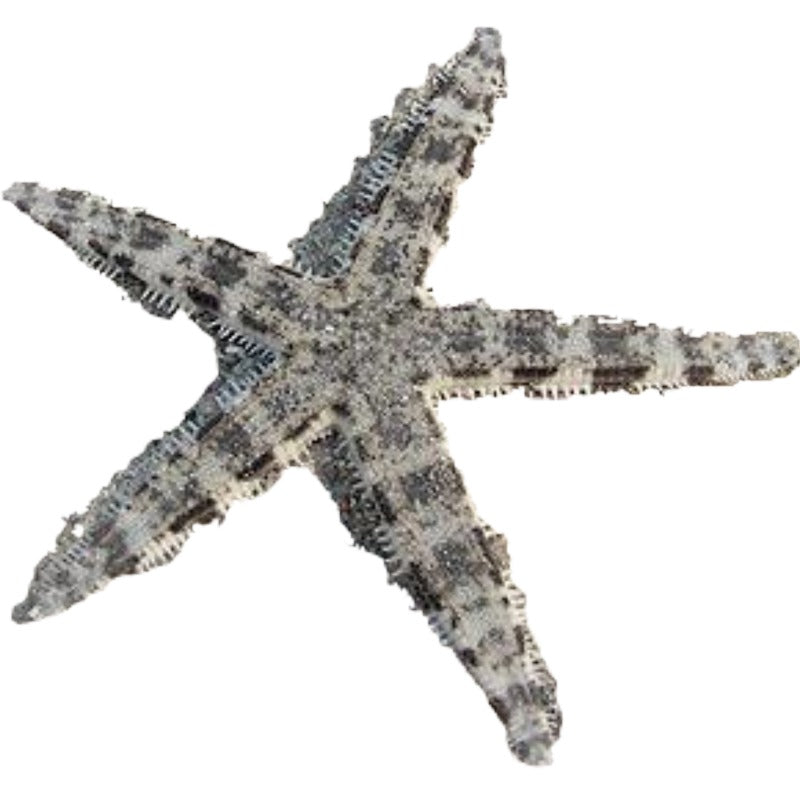 Shop Ocean Friendly Faux Starfish Decor
