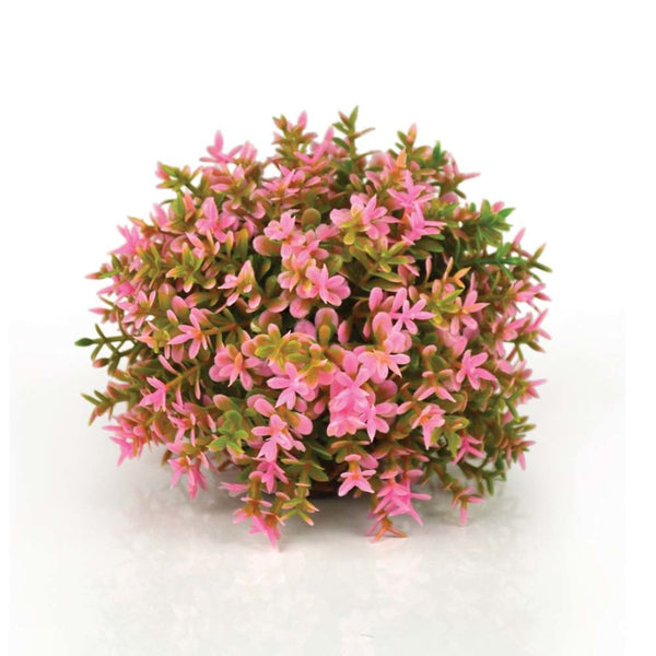 Oase BiOrb Flower Ball Aquarium Plant - Pink